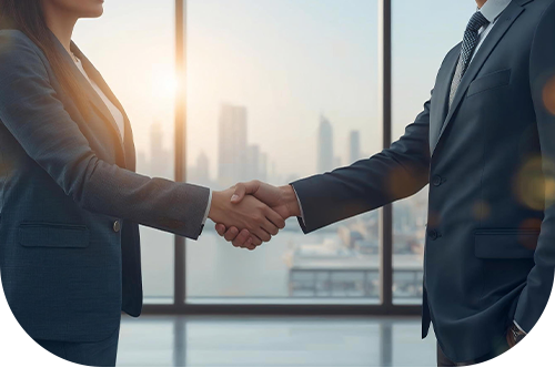 Commercial License in Free Zones